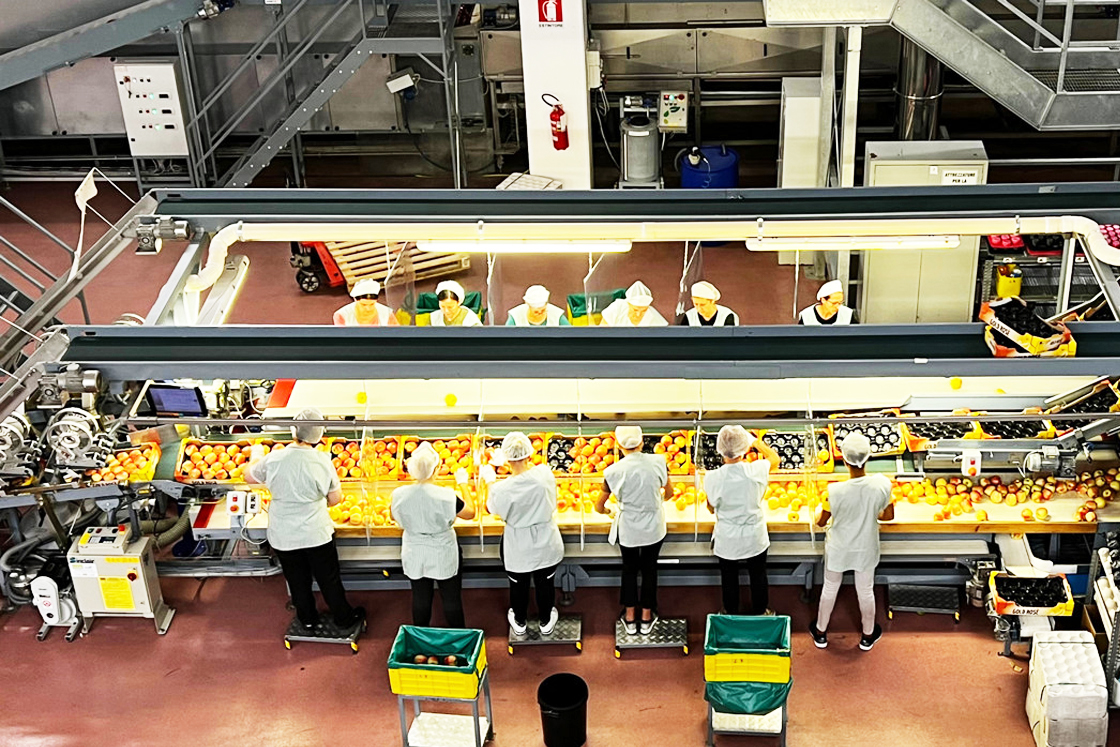Des ouvriers de l’usine Rivoira sur un convoyeur à bande